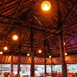 Phu **** Phi Phi